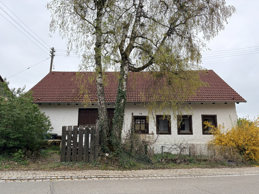 20260415_075033153_iOS