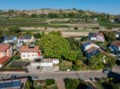 Attraktives Grundstück zur Entwicklung in Bötzingen, 79268 Bötzingen, Wohngrundstück